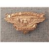 Image 1 : Rare Vintage Flight Commander Flying Cubs Badge Pin