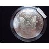Image 2 : 1999 AMERICAN SILVER EAGLE COLORIZED