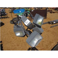1 LOT (2) HY-TEK POLE LIGHTS