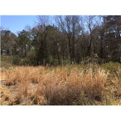 LAKE EUFAULA WATER FRONT 103 sq ft waterfront lot : located in the Highlands Subdivision, Abbeville,