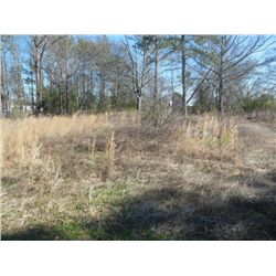 1621 4th AVE, OPELIKA, ALVacant lot located @ 1621 4th Ave, Opelika, AL  36801