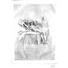 Image 1 : ROPS, Félicien.- Petit modèle. Eau-forte et p...