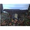 Image 2 : Antique Anvil