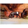 Image 8 : Antler Collection and Decorative Hunter's Lot