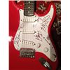 Image 1 : St. Jude Item:"The Zoo" Autographed Guitar