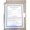 Image 2 : Out of Time Prop Ann Harrison (Sanaa Lathan) Insurance Forms
