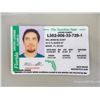 Image 3 : Out of Time Prop Chris Harrison (Dean Cain) Fake Driver's License and ID Cards