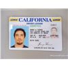 Image 4 : Out of Time Prop Chris Harrison (Dean Cain) Fake Driver's License and ID Cards