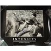 Image 1 : GORDIE HOWE AUTOGRAPHED 16 x 20  INTENSITY Black/White POSTER