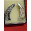Image 1 : VINTAGE EARRINGS - ABALONE