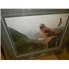 Image 1 : FRAMED LIMITED EDITION PRINT "EXCELLENT MOUNTAIN - RED TAIL  - TERRY PILES - APPROX. GALLERY VALUE $