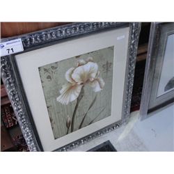 PRINT "HISTOIRE NATURELLE" (FLOWER)