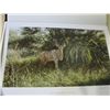 Image 2 : SAPPI PORTFOLIO ALLAN HUNTS AFRICAN WILDERNESS BOX SET