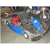 Image 1 : PROFESSIONAL RACING SODI GO KART