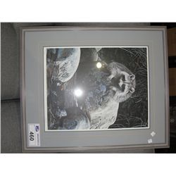 FRAMED LIMITED EDITION SIGNED AND NUMBERED PRINT RACOON BY ARTIST RS PARKER #171/950