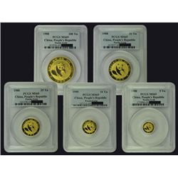 CHINA 1988 Panda Gold Set(5), all PCGS MS69