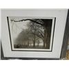 Image 1 : FRAMED PRINT "BLACK & WHITE MORNING - SILVERMAN - APPROX. GALLERY $250