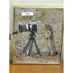 FRAMED PICTURE - GOPHER TAKING A PICTURE