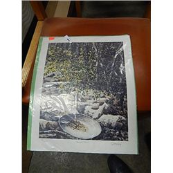 LIMITED EDITION PRINT - 72/1000 - DREAM PLANS - TERRY WORMSLEY
