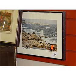 FRAMED PICTURE - PEGGY'S COVE LIGHT HOUSE