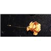 Image 2 : REAL ROSE PIN - WITH CARD AND BOX