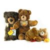 Image 1 : Collection of 4 Steiff Bears