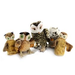 Collection of 5 Steiff Owls