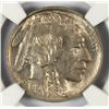 Image 2 : 1913 T1 BUFFALO NICKEL NGC MS62