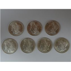 Philadelphia Mint Morgan Dollar starter collection