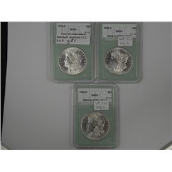 Near Gem Morgan Dollar Trio