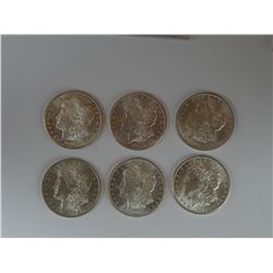 Six different mint state branch mint Morgan Dollars