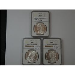 Premium quality borderline Gem Morgan Dollar trio: