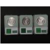Image 2 : Choice Morgan Dollar threesome
