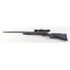 Image 2 : Gamo Big Cat 1200 Model air rifle, .177 cal., blue finish, composite stock, mounted with a Gamo scop