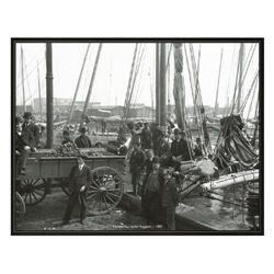 3 Photo Prints of Old Baltimore, Oysters on Bay 1904-07