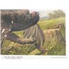 Image 3 : 2 Antique Austrian Bird Prints Verlag Carl Gerold