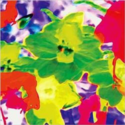 Olivier Kosovsky Art Print Fleurs Fluo