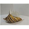Image 1 : CONTEMPORARY MURANO STYLE GLASS CONCH SEA SHELL