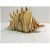 Image 2 : CONTEMPORARY MURANO STYLE GLASS CONCH SEA SHELL