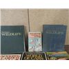 Image 3 : LOT 11 PICTORIAL REFERENCE BOOKS  HISTORY OF CAR,