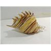 Image 2 : MINCHELLA MURANO STYLE BROWN & WHITE GLASS CONCH
