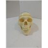 Image 2 : VINTAGE PERFECT REPLICA OF A HUMAN SKULL