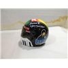 Image 2 : 1998 ACTION 1/3 SCALE JOHN FORCE ELVIS HELMET
