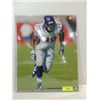 Image 1 : 16X20 FOOTBALL PHOTO AUTOGRAPHED ADRIAN PETERSON