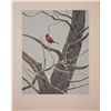 Image 1 : Wayne Cooper Signed Artist Proof Print Cardinal -Winter