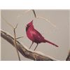 Image 2 : Wayne Cooper Signed Artist Proof Print Cardinal -Winter