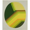 Image 1 : Doug Danz Signed Yellow Green Modern Proof Print Solado