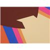 Image 2 : Doug Danz Signed Abstract Print Proof Phoenix II