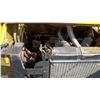Image 4 : Case 1835C Skidsteer