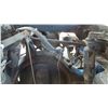 Image 15 : 1992 Peterbilt 379 Truck Tractor